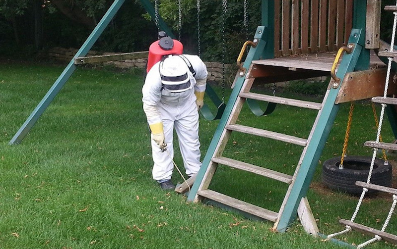 Pest Control Services Pest Control Services